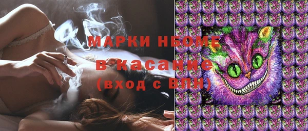 мдпв Горно-Алтайск