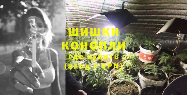 мдпв Горно-Алтайск