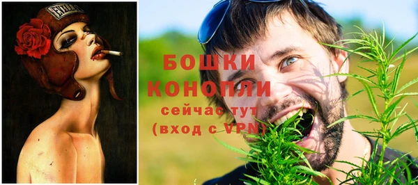 эйфоретик Горняк