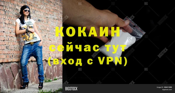 эйфоретик Горняк