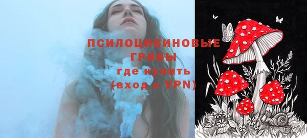 эйфоретик Горняк