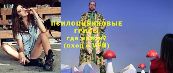 мдпв Горно-Алтайск