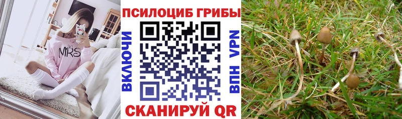 наркошоп  KRAKEN ссылка  Галлюциногенные грибы Psilocybine cubensis  Оренбург 